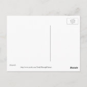 Carte postale Floride Palm Tree Sunset (Dos)