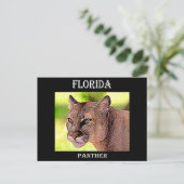 Carte Postale Floride Panther (Debout devant)