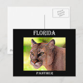 Carte Postale Floride Panther (Devant / Derrière)