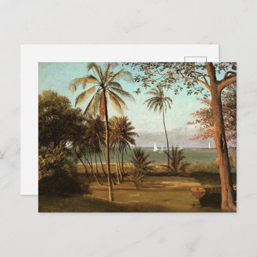 Carte Postale Floride, peinture d'art, (Devant / Derrière)