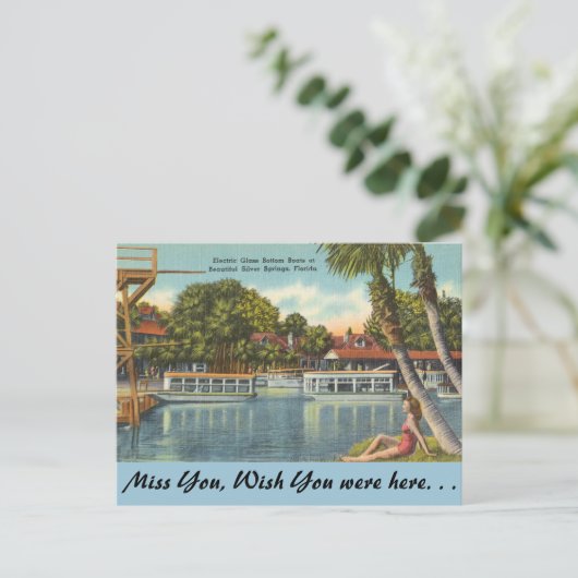 Carte Postale Floride, Silver Springs (Debout devant)