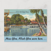 Carte Postale Floride, Silver Springs (Devant)