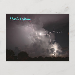 Carte postale Floride Storm Lightning