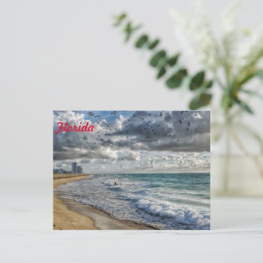 Carte postale Floride Sud Floride Côte (Debout devant)