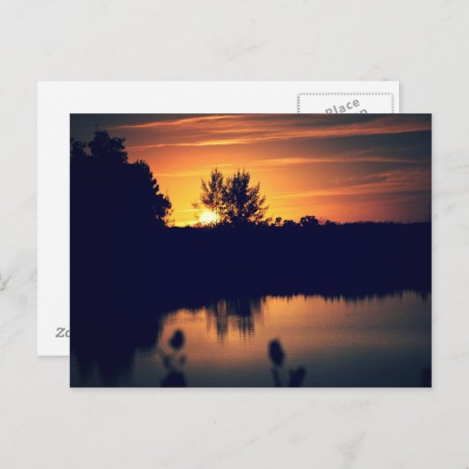 Carte postale Floride Sunset (Devant / Derrière)