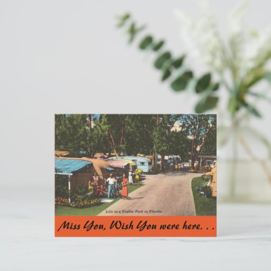 Carte Postale Floride, Trailer Park (Debout devant)