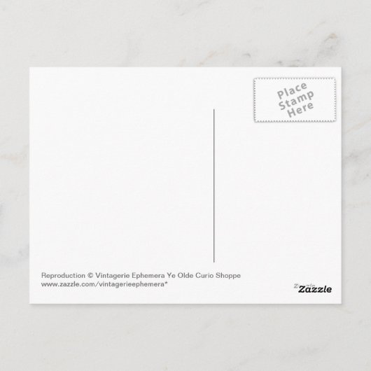 Carte Postale Floride vintage (Dos)