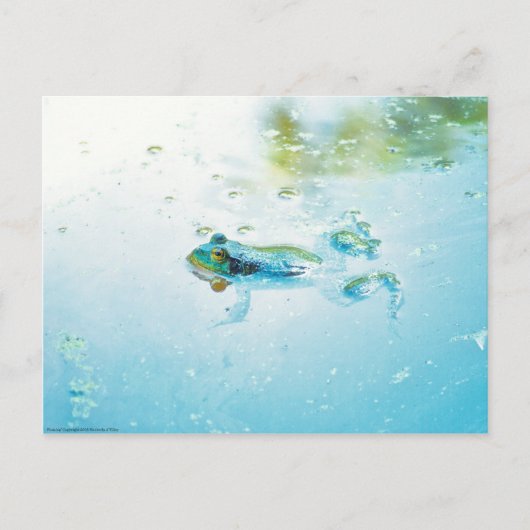 Carte Postale Flottant (Devant)