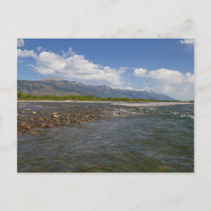 Carte Postale Flottant le long de la rivière Snake II