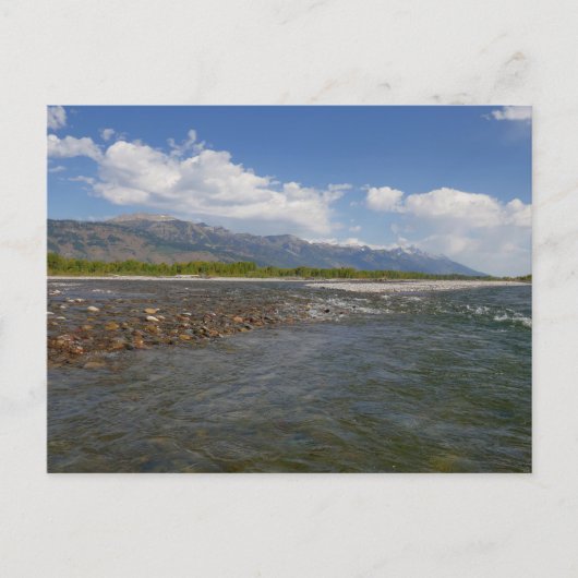 Carte Postale Flottant sur la rivière Snake II (Devant)