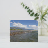 Carte Postale Flottant sur la rivière Snake II (Debout devant)
