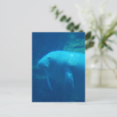 Carte postale flottante Manatee (Debout devant)
