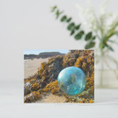 Carte Postale Flotte de verre sur Kelp (Debout devant)