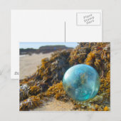 Carte Postale Flotte de verre sur Kelp (Devant / Derrière)