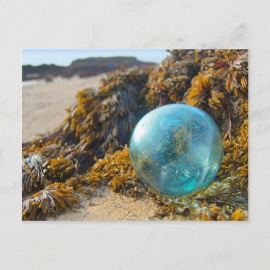 Carte Postale Flotte de verre sur Kelp (Devant)