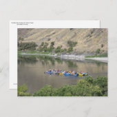 Carte Postale Flotter le serpent (Devant / Derrière)