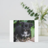 Carte Postale flou1 (Debout devant)