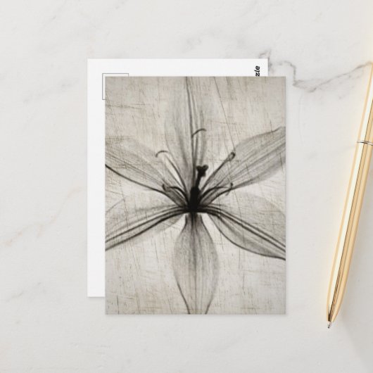 Carte Postale Flower (Devant/Arrière en situation)