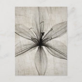 Carte Postale Flower (Devant)