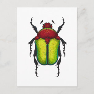 Carte Postale Flower beetle