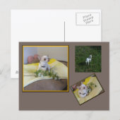 Carte postale Flower Chihuahua (Devant / Derrière)