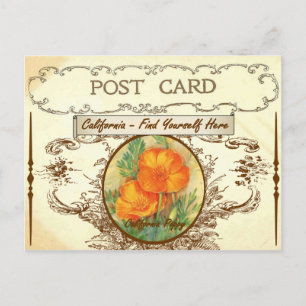 Carte postale Flower de Californie vintage