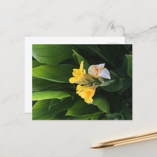 Carte Postale Flower Delivery (Devant/Arrière en situation)