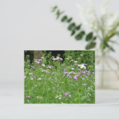 Carte Postale flower field postcard (Debout devant)
