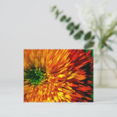 Carte postale Flower Fireworks (Debout devant)