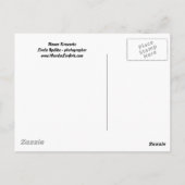 Carte postale Flower Fireworks (Dos)