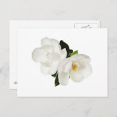 Carte Postale Flower Magnolia (Devant / Derrière)