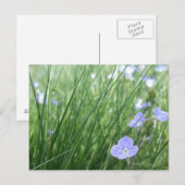 Carte postale Flower Meadow (Devant / Derrière)