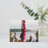 Carte postale Flower Over Nuages (Debout devant)
