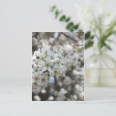 Carte Postale Flower Pear Tree Bloom (Debout devant)