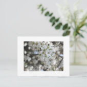 Carte Postale Flower Pear Tree Bloom (Debout devant)