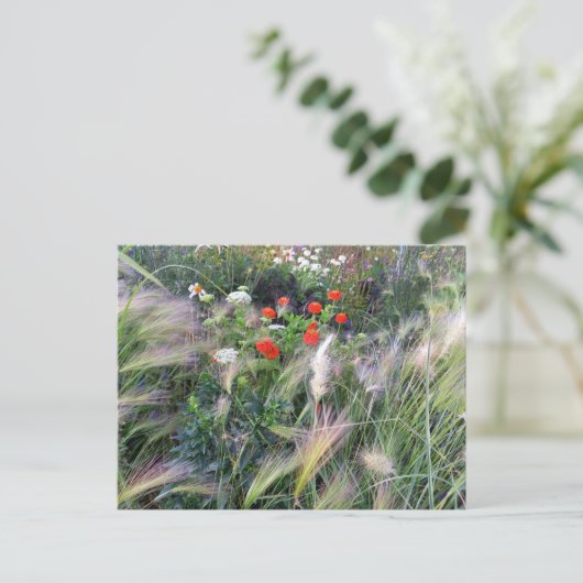 Carte Postale Flower Power (Debout devant)