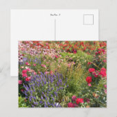 Carte Postale Flower power (Devant / Derrière)