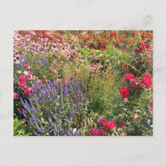 Carte Postale Flower power (Devant)