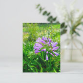 Carte Postale Flower power (Debout devant)