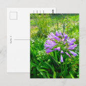 Carte Postale Flower power (Devant / Derrière)