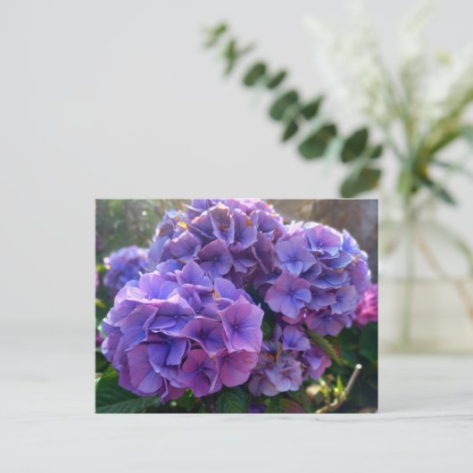 Carte Postale Flower Power 4 (Debout devant)