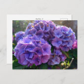 Carte Postale Flower Power 4 (Devant / Derrière)