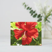 Carte Postale Flower rouge (Debout devant)