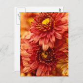 Carte Postale Flowers (Devant / Derrière)