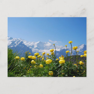 Carte Postale Flowers (homonymie)   Eiger Monch Swiss Alps