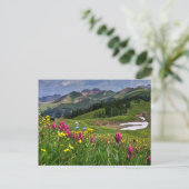 Carte Postale Flowers (homonymie) | Wildflowers Durango (Debout devant)