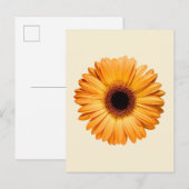 Carte Postale Flowers | Orange Gerbera (Devant / Derrière)
