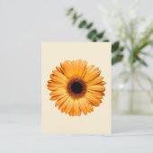 Carte Postale Flowers | Orange Gerbera (Debout devant)
