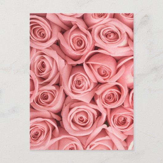 Carte Postale Flowers | Pink Roses (Devant)