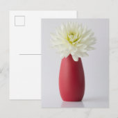 Carte Postale Flowers | White Dahlia in Red Vase (Devant / Derrière)